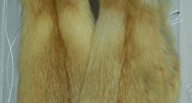 I will sell fur vest foxes!